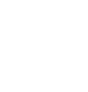 Special Compass Logo